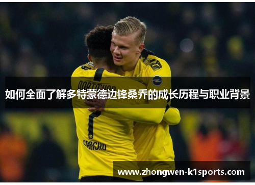 如何全面了解多特蒙德边锋桑乔的成长历程与职业背景