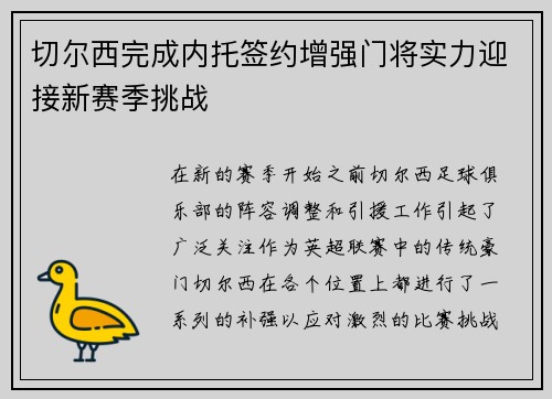 切尔西完成内托签约增强门将实力迎接新赛季挑战